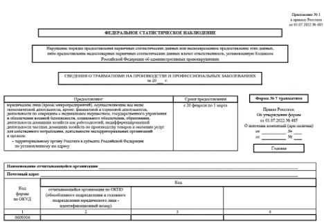 Обязательные сведения и типичные ошибки при заполнении формы 7