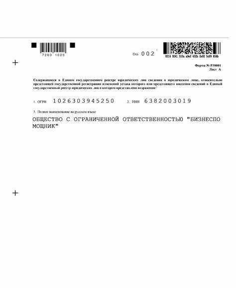 Способы подачи формы р38001: электронно и на бумажном носителе