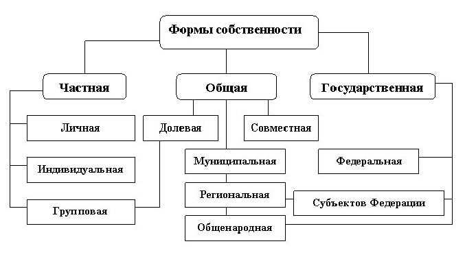 Особенности муниципальной формы собственности для организаций