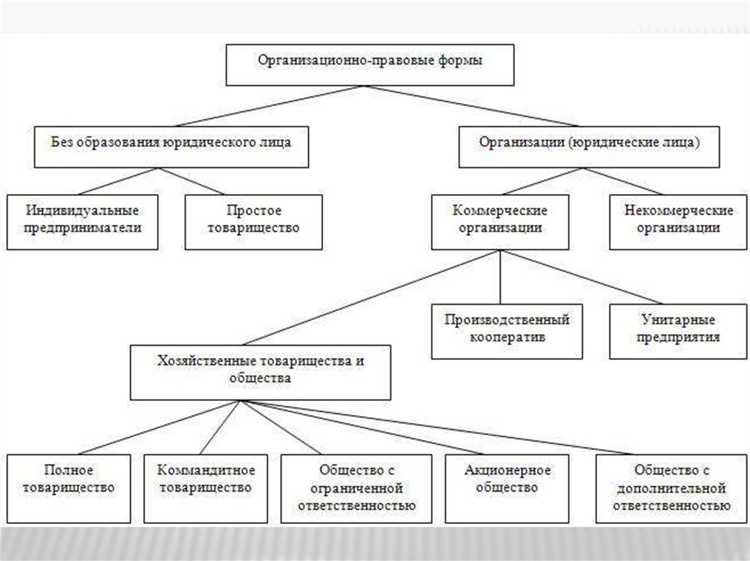 Производственные кооперативы: порядок создания и распределения прибыли