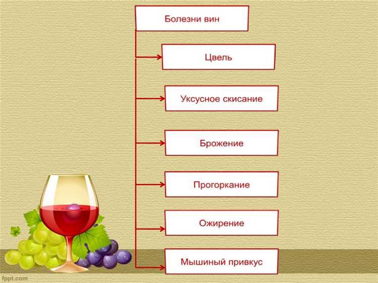 Роль таможенных органов в проверке обоснованности оценки