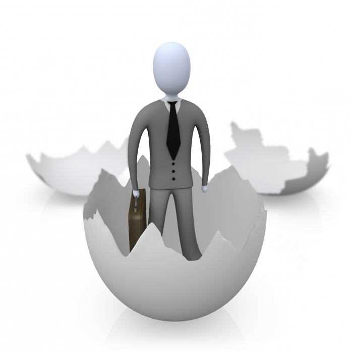 Как род влияет на формулировки в заявлениях и договорах