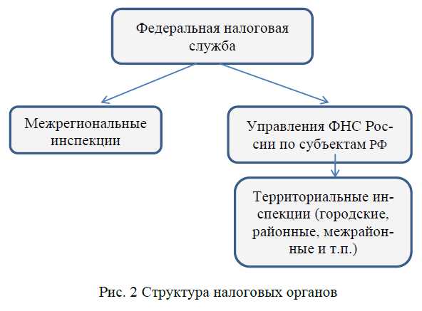 Инструменты анализа налоговых рисков на основе цифровых данных