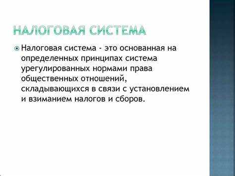 Применение баз данных при камеральных и выездных проверках