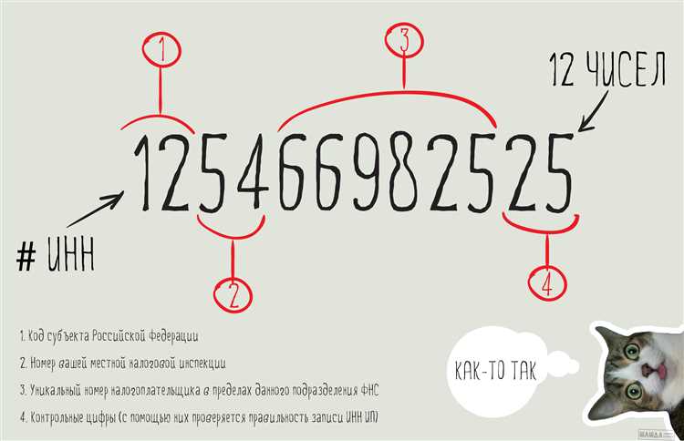 Кто и на каком этапе присваивает ИНН юридическому лицу