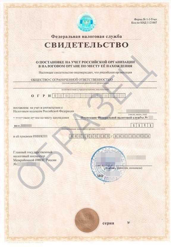 Инн юр лица сколько цифр Инн юр лица сколько цифр