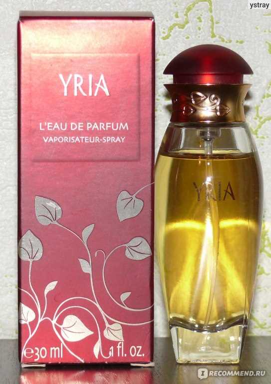 Каковы принципы взаимодействия с франчайзи и партнёрами