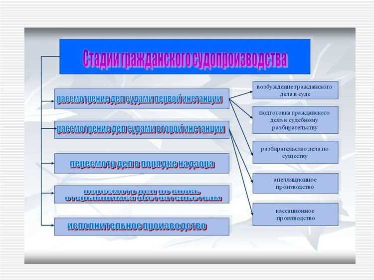 Из принципа состязательности судопроизводства следует что
