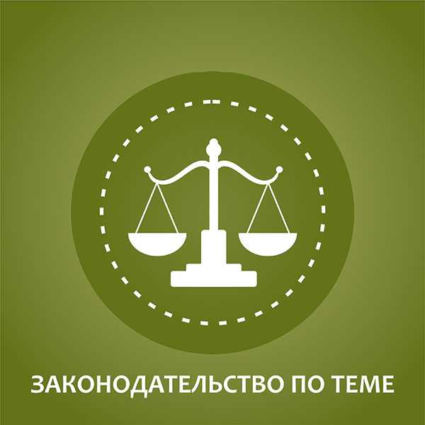 Как гл энергетику дать права орп Как гл энергетику дать права орп
