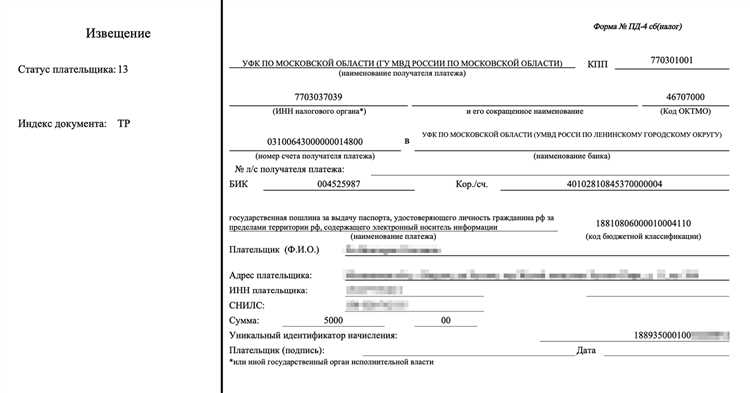 Как вернуть пошлину за права Как вернуть пошлину за права