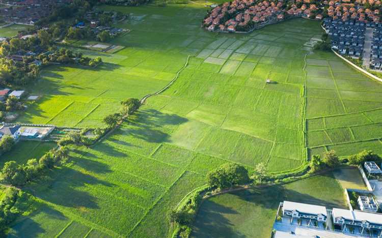 Как определить оптимальные размеры участка для дома
