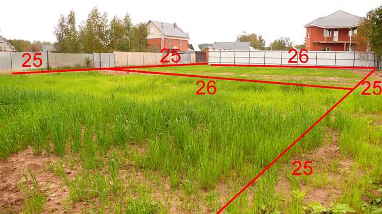 Как выделить долю земельного участка Как выделить долю земельного участка