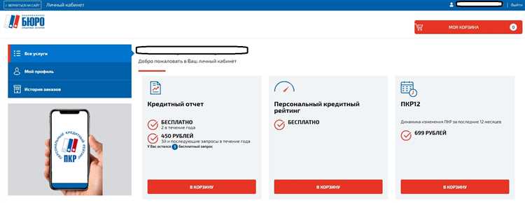 Что содержит типовой отчет из бюро кредитных историй