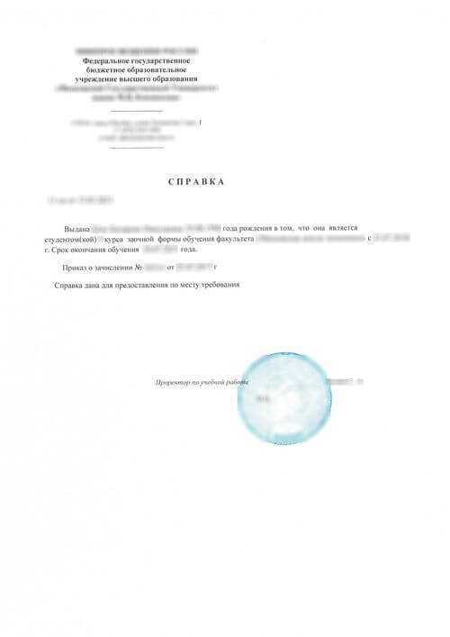 Как получить справку об обучении в университете?