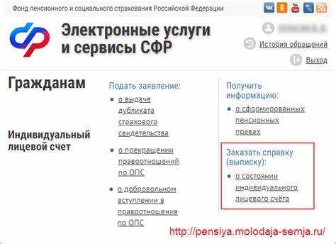 Как запросить выписку через портал Госуслуг