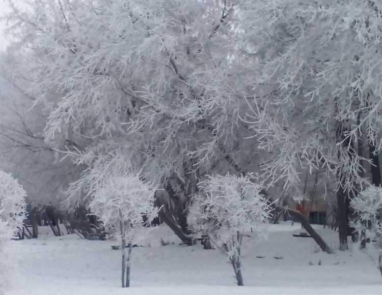 Можно ли выйти из ЖСК в одностороннем порядке и что для этого нужно