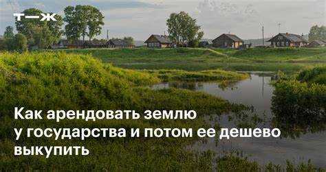 Как проверить статус земельного участка и его наличие в муниципальной собственности