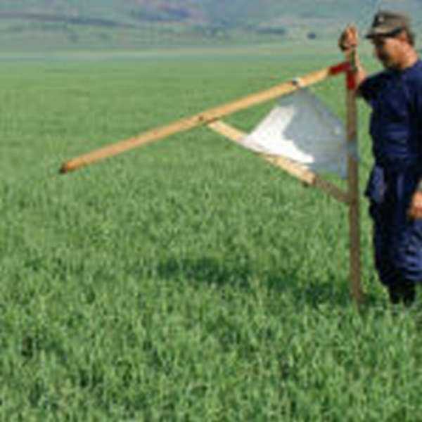 Возможные отказы и как их обжаловать