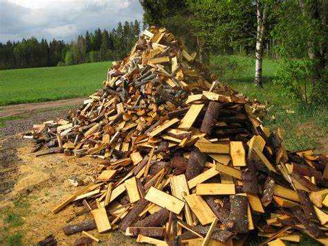 Особенности оплаты и расчёта стоимости леса для дров