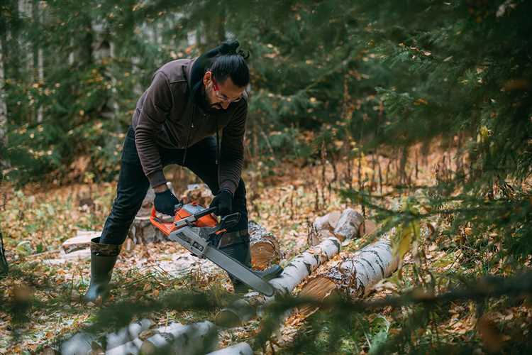 Куда и как подать заявление на получение разрешения на лес