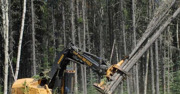 Сбор необходимых документов для подачи заявления на разрешение