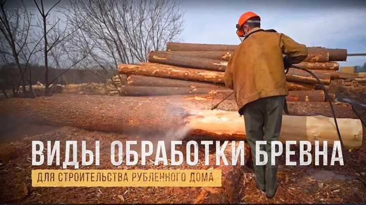 Получение разрешения и сроки его действия для заготовки дров