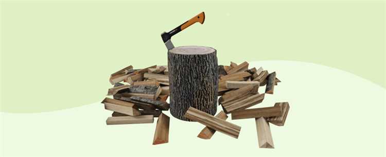 Выбор участка леса и проверка его доступности для заготовки дров