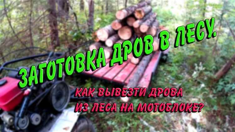 Как выписать лес на дрова