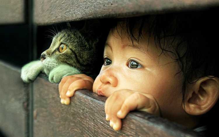 Дальнейшие действия при игнорировании решения суда