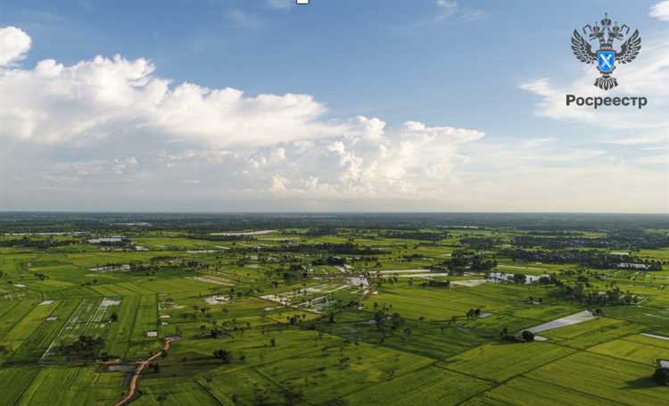 Какие документы потребуются для регистрации изменений