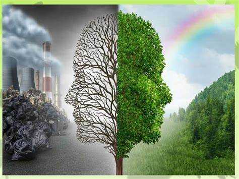 Обязанности юридических лиц и физических лиц при возмещении вреда