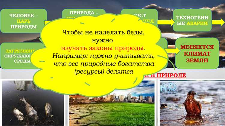 Процедура подачи заявления на возмещение ущерба