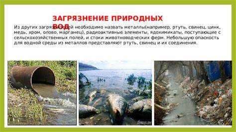 Как устанавливаются санкции за невыполнение обязательств по возмещению ущерба