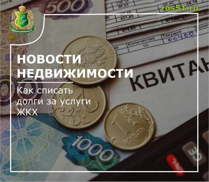 Возможности и ограничения при взыскании долга через судебных приставов