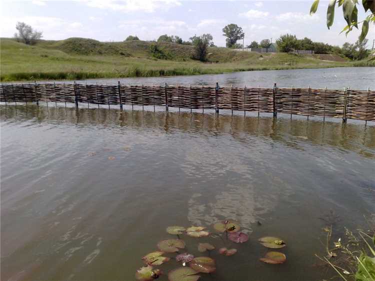 Какие разрешения потребуются для разведения рыбы