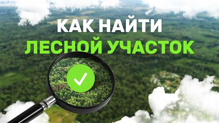 На какой срок и на каких условиях предоставляется аренда