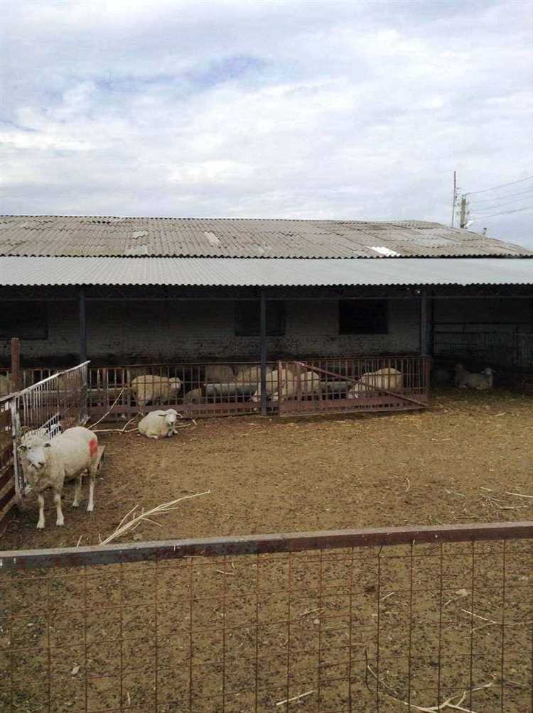 Как выбрать подходящий участок под сельхозпроизводство