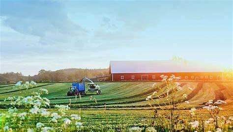 Как взять землю в аренду под сельское хозяйство