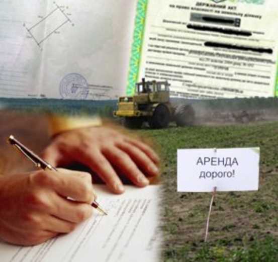 Как выбрать участок из государственной собственности