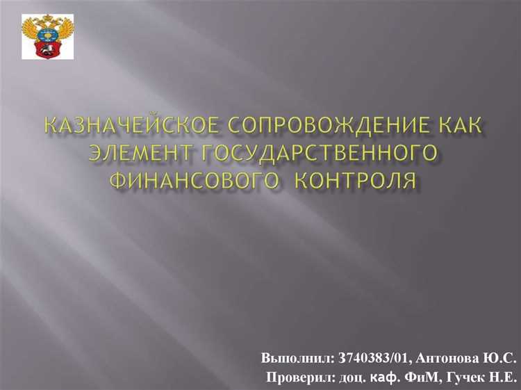 Как выбрать между казначейским обеспечением и сопровождением в зависимости от потребностей бизнеса
