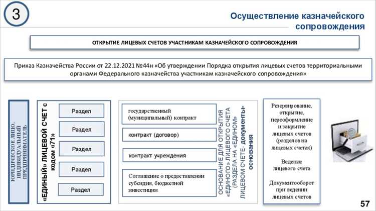 Что включает в себя казначейское обеспечение для организаций?