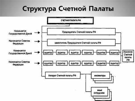 Формирование состава Счетной палаты: кто назначает аудиторов