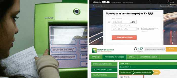 Сколько штраф за езду на мотоцикле без прав Сколько штраф за езду на мотоцикле без прав