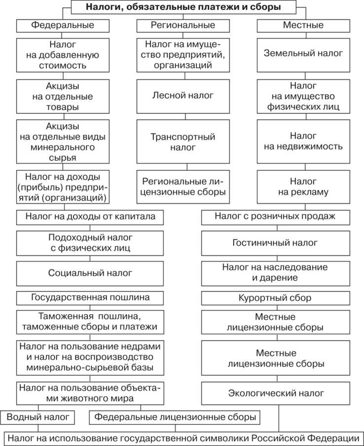 Местные налоги: виды и порядок взимания