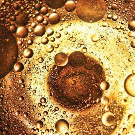 Сколько хранится информация о замене фритюрных жиров Сколько хранится информация о замене фритюрных жиров