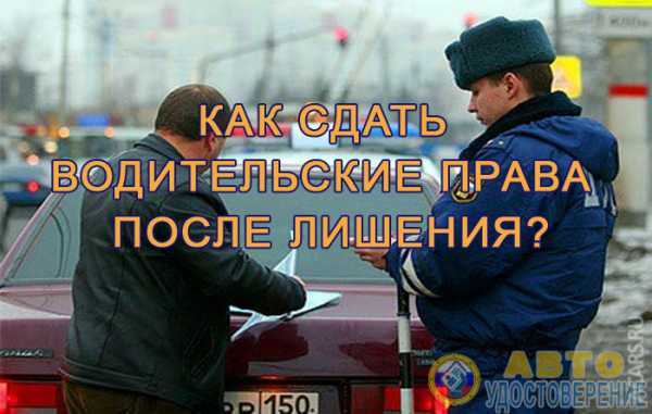 Сколько времени права могут находиться в подразделении ГИБДД