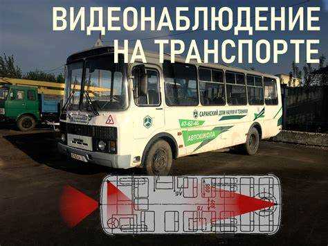 Какой срок хранения устанавливают перевозчики на практике