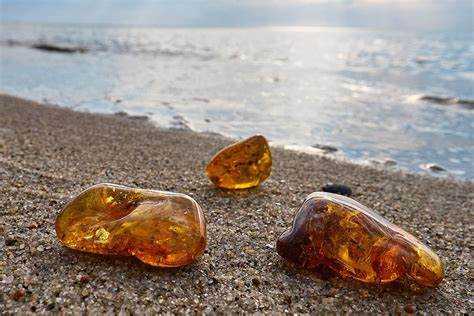 Правила вывоза необработанного и обработанного янтаря