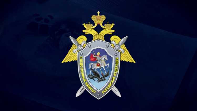 Взаимодействие СК РФ с МВД и ФСБ при расследованиях