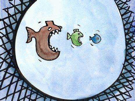 Чем отличается юридический статус компаний после слияния и после присоединения